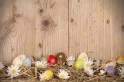 Top 5 Best photography easter backdrops for sale 2017