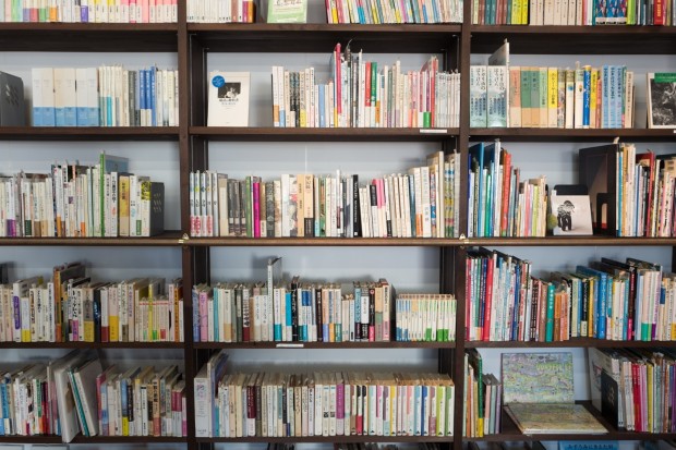 Iowa State Attorney Daniel Johnston Criticizes Overly Broad Book Bans in Schools Under SF 496