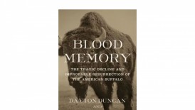 Book Review: 'Blood Memory: The Tragic Decline and Improbable Resurrection of the American Buffalo' by Dayton Duncan and Ken Burn