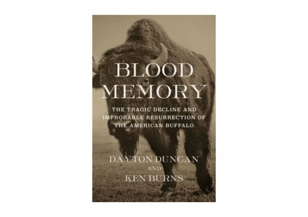 Book Review: 'Blood Memory: The Tragic Decline and Improbable Resurrection of the American Buffalo' by Dayton Duncan and Ken Burn
