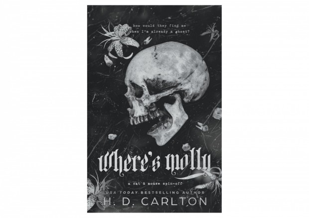 'Where's Molly' by H. D. Carlton Book Review: A Thrilling Small-Town Mystery