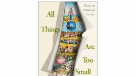 'All Things Are Too Small: Essays in Praise of Excess' by Becca Rothfeld Book Review:  A Provocative Manifesto for Embracing Excess