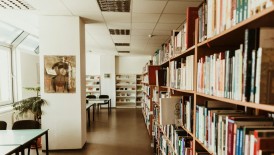 Idaho Senate Approves Bill to Regulate Library Materials