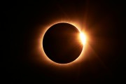 5 Books to Dive Into if the Eclipse Captivated You