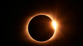 5 Books to Dive Into if the Eclipse Captivated You