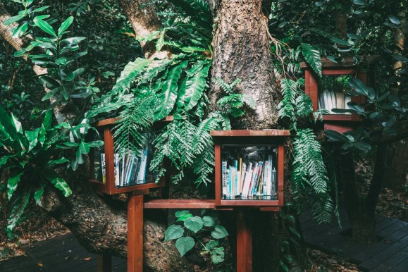 6 Earth Day Book Recommendations to Transform Your View of Nature 