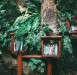 6 Earth Day Book Recommendations to Transform Your View of Nature 