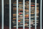 Growing Bans on LGBTQ+ Books Reflect Historical Suppression of Queer Literature