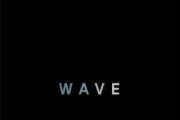 Sonali Deraniyagala's Wave