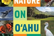 Top Best 5 travel book on hawaii for sale 2016