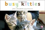 Top Best 5 children's book kitten for sale 2016