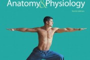 Top 5 Best textbook anatomy for sale 2017